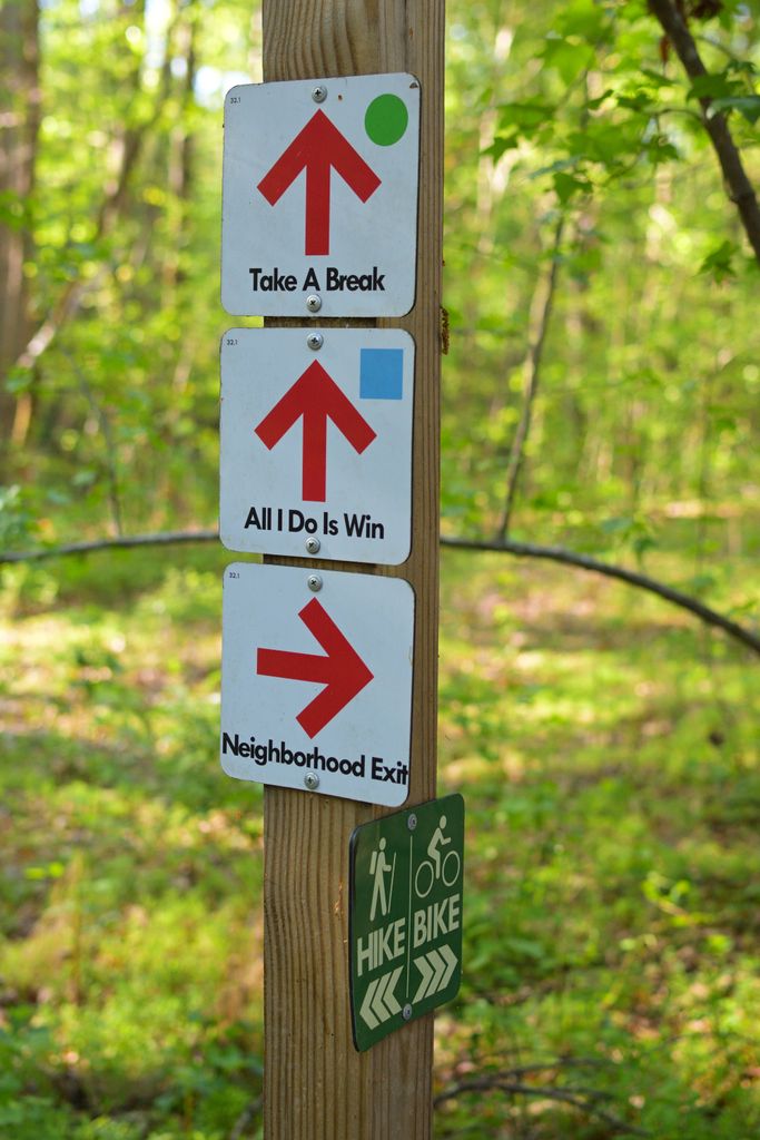 Directional trail signs in a green forest, perfect for outdoor adventure and hiking themes.